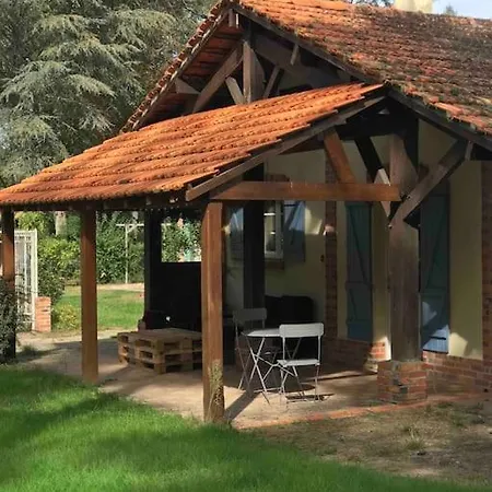 Chalet Cozy Au Milieu Des Bois Ménestreau-en-Villette Buitenkant foto
