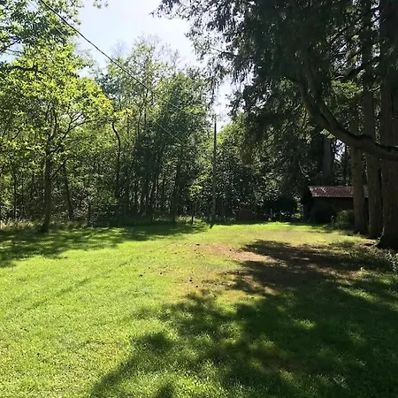 Chalet Cozy Au Milieu Des Bois Ménestreau-en-Villette Buitenkant foto